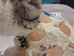-鹿里烘焙LulyBaking(东二环泰禾广场店)
