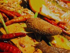 -探鱼·鲜青椒爽麻烤鱼(中山大信新都汇店)