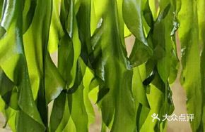 Sea Cucumber Leaves
