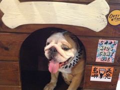 iphone_upload_pic-垦丁大街