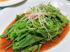 -四世同堂·京菜·烤鸭(双井店)