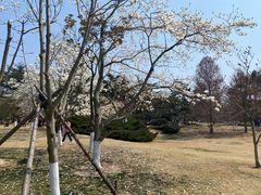 -青岛中山公园-索道售票处