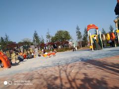 -铁山坪森林公园