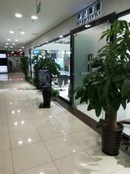 -华卫思理轻奢造型