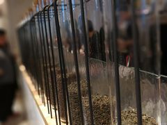 -喜茶(佛山岭南站店)
