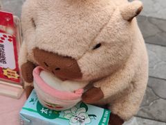 -越秀西湖花市(广州城市广场花卉店)