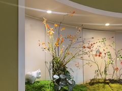 -五星桥原切肥牛火锅(怀德桥店)