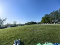 -南汇新城城市公园