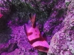 -沈阳海洋探索中心