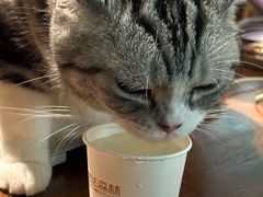 -咖法森林·咖啡  酒吧(天河店)