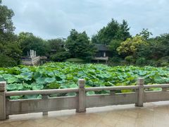 景观位-杭州西子湖四季酒店·金沙厅