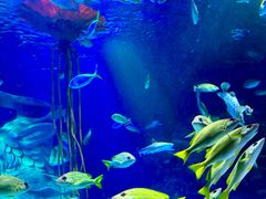 -沈阳海洋探索中心