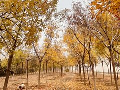 -南开大学滨海学院