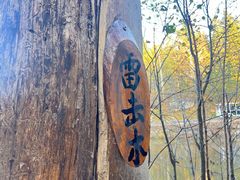 -汤旺河林海奇石景区