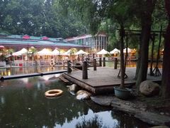 -大鹅岛绿色生态美食园