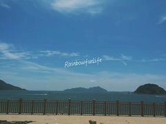 -西涌国际滨海旅游区