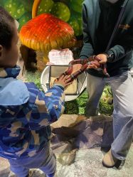 -酷嗒动物文化乐园(cutezoo西溪乐天城店)