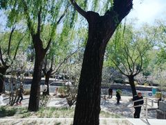 -元大都城垣遗址公园