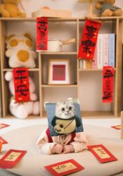 -光影纪·Baby·Home儿童摄影(丁桥店)