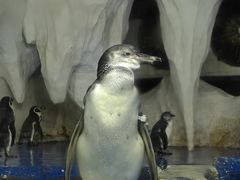 -太平洋海底世界