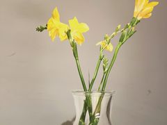 -菩提素素食餐厅(晶郦馆店)