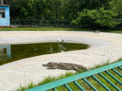 -秦皇岛野生动物园