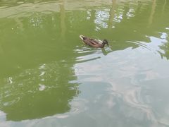 -团结湖公园