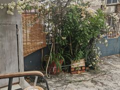 -251#coffee roasters(沿河东路店)