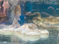 -蓝珊甄选海鲜自助·火锅大排档(近阿那亚店)
