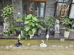 -西流沱小镇