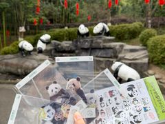 -都江堰中华大熊猫苑