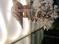 -春润大地海南椰子鸡(沙井京基百纳广场店)