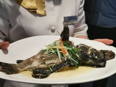 -威哥美食(迈科国际店)