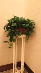 -锦尚名仕Hair Salon