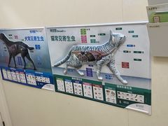 -瑞派康怡24h宠物医院·犬猫医疗中心·微创绝育(瑞景分院)