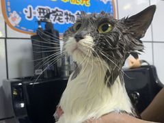 -韩盛·盛江山自助料理(奥体万达店)
