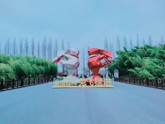 -黄海国家森林公园