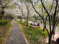 -新江湾城公园