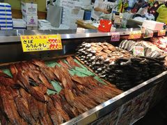 -海鮮寿司とれとれ市場