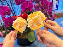 -成都峨眉雪芽大酒店