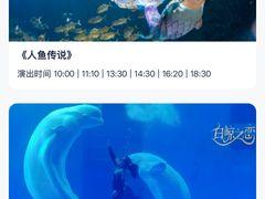 -海合安成都极地海洋公园