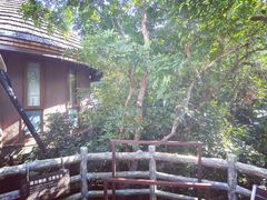 -三亚亚龙湾人间天堂鸟巢度假村