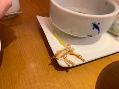 -新凯里酸汤鱼(飞山街店)