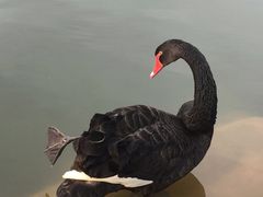 -三岔湖环球融创天堂洲际酒店水乐园
