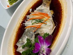 -小贝壳酒楼(经九路店)