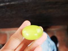 -海堤葡萄园中小学生研学基地