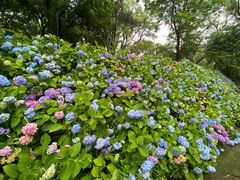 -沈阳植物园