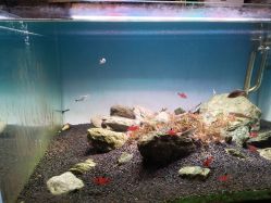 -青木造型HAIR·あおき髪を刈る潮人店