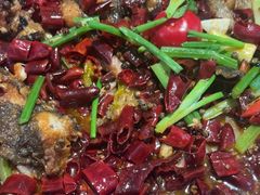 -老板恋上鱼(恒隆广场店)