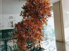 -皇庭广场(福华三路店)